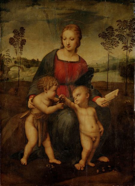 cisanobozzetto